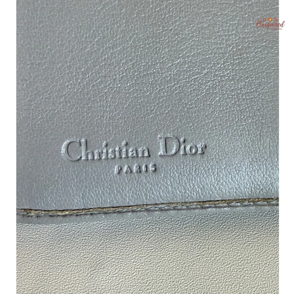 Dior authentic gray